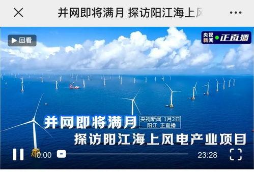 阳江今日爆料新闻,今日爆料新闻聚焦热点事件  第3张