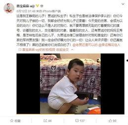 杨一凡被爆料视频,真相与争议交织