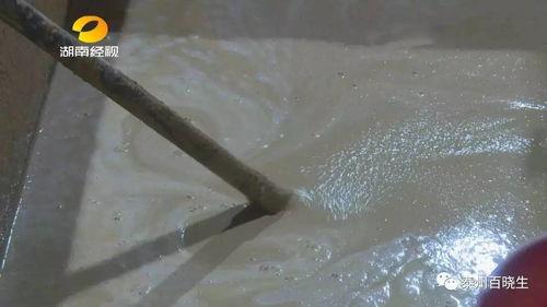 猪灌泥浆爆料怎么做视频,轻松上手，打造热门短视频