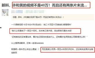 爆料视频信息违法吗,违法信息传播的边界与法律责任  第2张