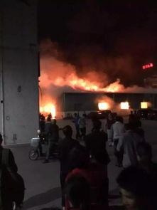 新疆火灾网友爆料视频,惊心动魄的救援瞬间 第1张 新疆火灾网友爆料视频,惊心动魄的救援瞬间 第1张