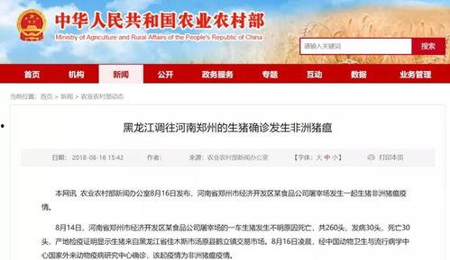 淄博网红爆料最新消息新闻,揭秘城市热点事件背后的真相  第2张
