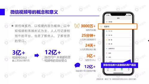 吃瓜网红翻车视频大全下载,视频大全揭秘网络红人真实面目  第3张