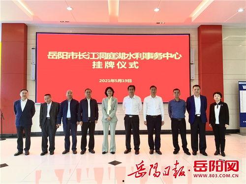 岳阳最新新闻爆料电话,揭秘城市动态，倾听市民心声  第3张