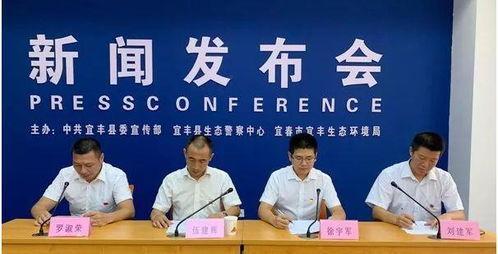丰县最新爆料新闻头条网,揭秘事件背后真相 第2张 丰县最新爆料新闻头条网,揭秘事件背后真相 第2张