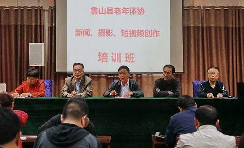 鲁山县最新爆料新闻,揭秘神秘事件背后的真相  第3张