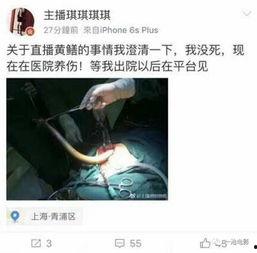 黄鳝女视频在线观看,揭秘网络直播背后的惊人真相 第1张 黄鳝女视频在线观看,揭秘网络直播背后的惊人真相 第1张