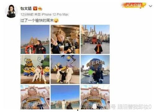 大瓜娱乐圈爆料小说,幕后真相与明星秘闻