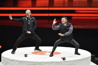 马老师爆料太极拳视频全集,太极拳视频全集深度解析
