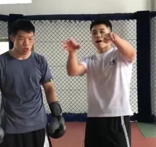 马老师爆料太极拳视频全集,太极拳视频全集深度解析 第2张 马老师爆料太极拳视频全集,太极拳视频全集深度解析 第2张