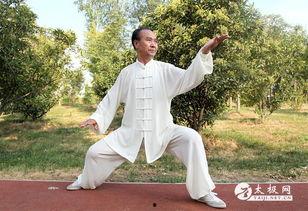 马老师爆料太极拳视频全集,太极拳视频全集深度解析 第3张 马老师爆料太极拳视频全集,太极拳视频全集深度解析 第3张