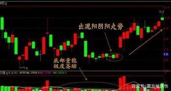 顶级庄家爆料视频,独家爆料视频深度解析  第1张