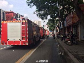 成都爆料最新,揭秘城市热点事件背后的真相  第2张