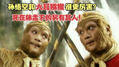 三级西游记在线观看,探寻取经路上的奇幻之旅  第3张