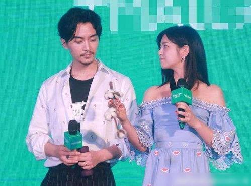 娱乐圈爆料刘亦菲陈晓,娱乐圈新恋情引热议  第1张