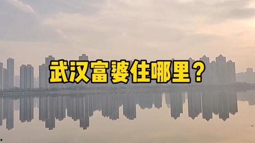 楼市爆料视频,最新房价走势与投资风向  第3张