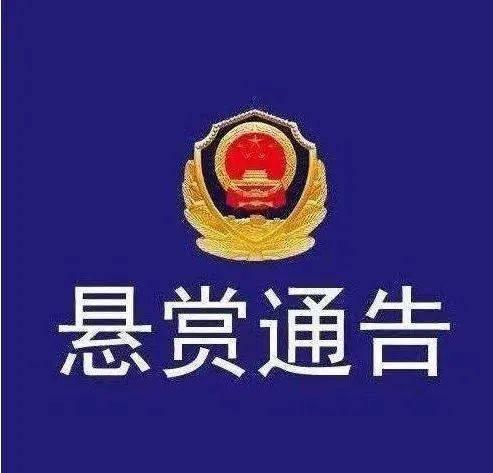 梅州最新的爆料案件,揭秘背后惊人真相  第1张