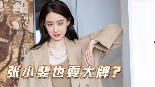 有人爆料张小斐的视频,真相与争议  第1张