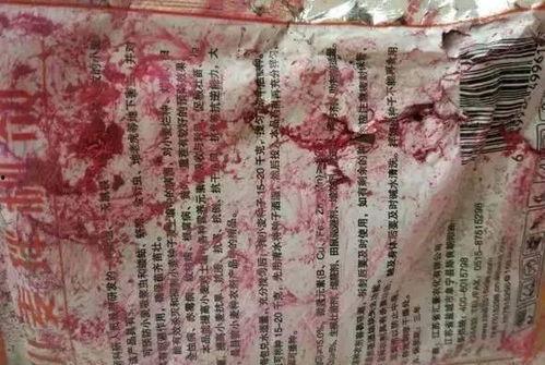 爆料舞帝二哈视频,笑料百出，网友直呼“太欢乐”  第2张