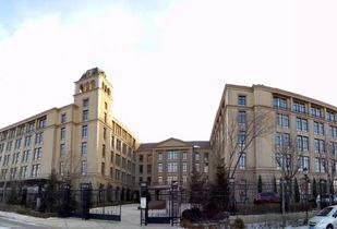 沈阳学区房最新爆料,揭秘热门区域房价走势与名校周边房源抢购热潮  第2张