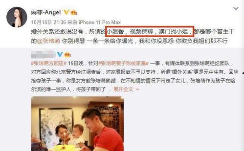 刘伟爆料家暴视频播放全集,全程回顾惊心动魄一幕