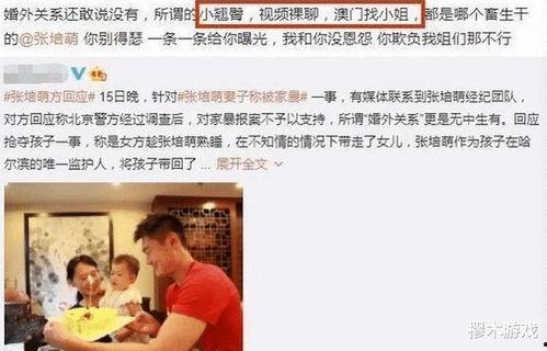 刘伟爆料家暴视频播放全集,全程回顾惊心动魄一幕  第2张