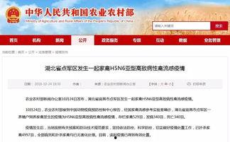 宜昌新闻爆料,突发事件引发关注，最新进展情况揭晓  第2张