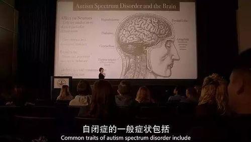 自闭历程电影在线观看,揭秘天才少年的成长轨迹