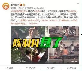 老陈爆料黄昌辉视频全集,老陈爆料视频全集深度解析
