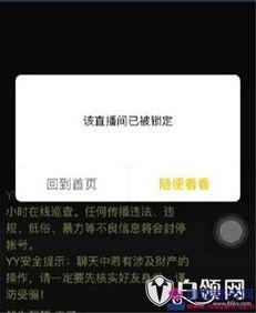 正泰官方爆料视频,精彩瞬间与幕后故事大公开