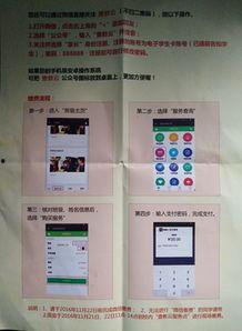重庆教委最新爆料信息,教育改革动态及政策调整全解析