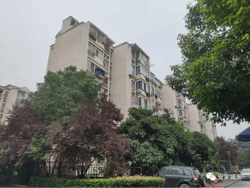 深圳龙马小区最新爆料,揭秘神秘事件背后的真相  第2张