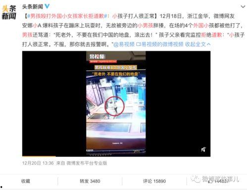 廊坊男孩爆料事件视频,揭开校园霸凌背后的真相  第1张