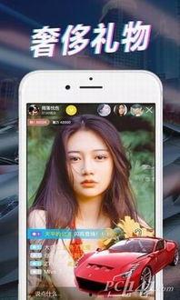 熊哥直播爆料视频大全下载,揭秘幕后真相，带你领略直播魅力