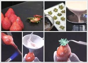 食物黑科技爆料视频,食物黑科技视频大揭秘  第3张