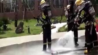 特勤中队电视剧全集在线观看,热血忠诚，守护平安全集在线观看攻略  第2张