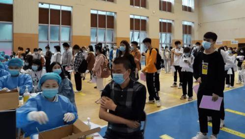 武城碧桂园爆料最新消息,揭秘项目进展与未来规划  第3张