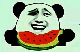 娱乐吃瓜酱假装打电话,明星幕后故事大揭秘！  第3张