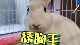 718吃瓜抖音网红,揭秘抖音网红背后的故事