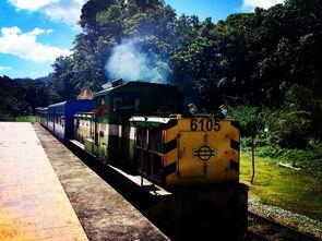 江孜餐饮爆料视频大全集,视频大全集深度解析  第3张