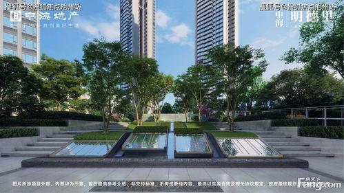 中海爆料最新消息,揭秘行业动态，洞察市场风向  第1张