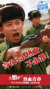 大熔炉电视剧在线观看,见证时代变迁，共筑民族复兴梦  第1张