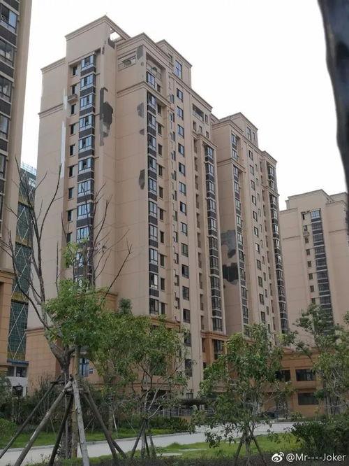 重庆安置房爆料最新消息,揭秘项目进展与居民关注焦点  第2张