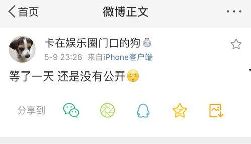 网红吃瓜呱呱爆料,娱乐圈幕后真相大揭秘  第3张